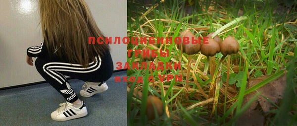 амфетамин Алексин