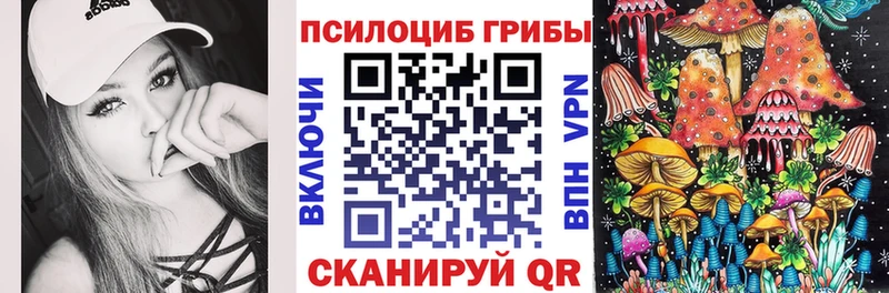 купить наркотик  кракен ССЫЛКА  Псилоцибиновые грибы ЛСД  Пустошка 